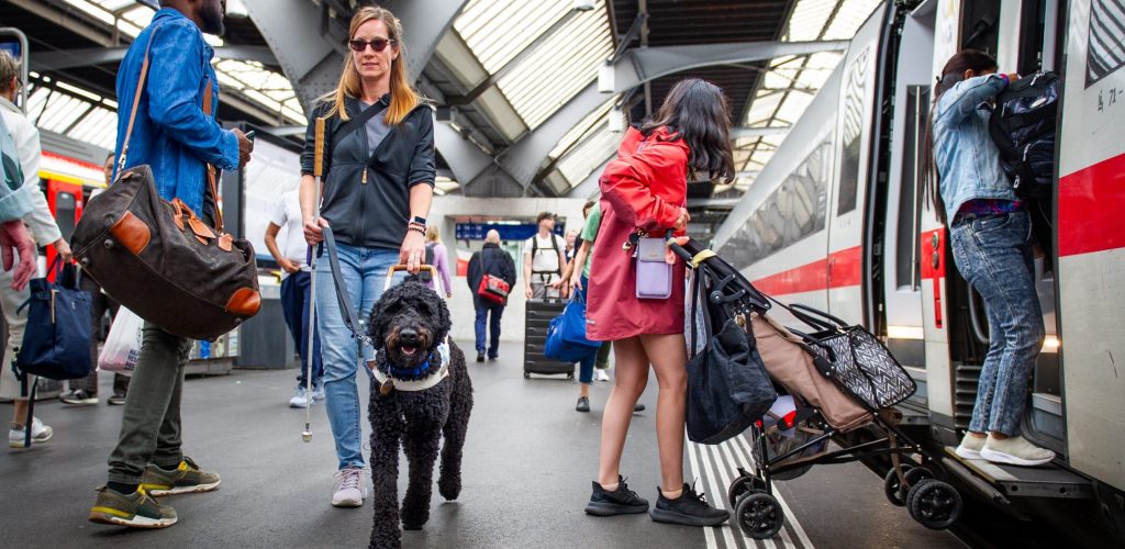 guide dog in train station guide dog in train station